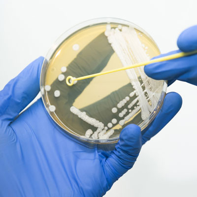 Sterility Performance Testing